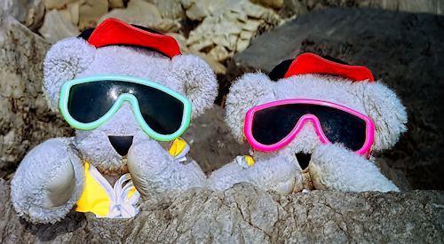 404 Teddy Bear Patrol