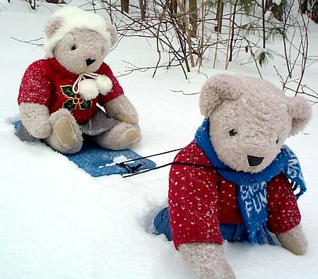 Tilly-Bear's Sleigh Ride