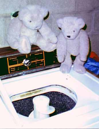 Theodore and Tilly-Bear bathing