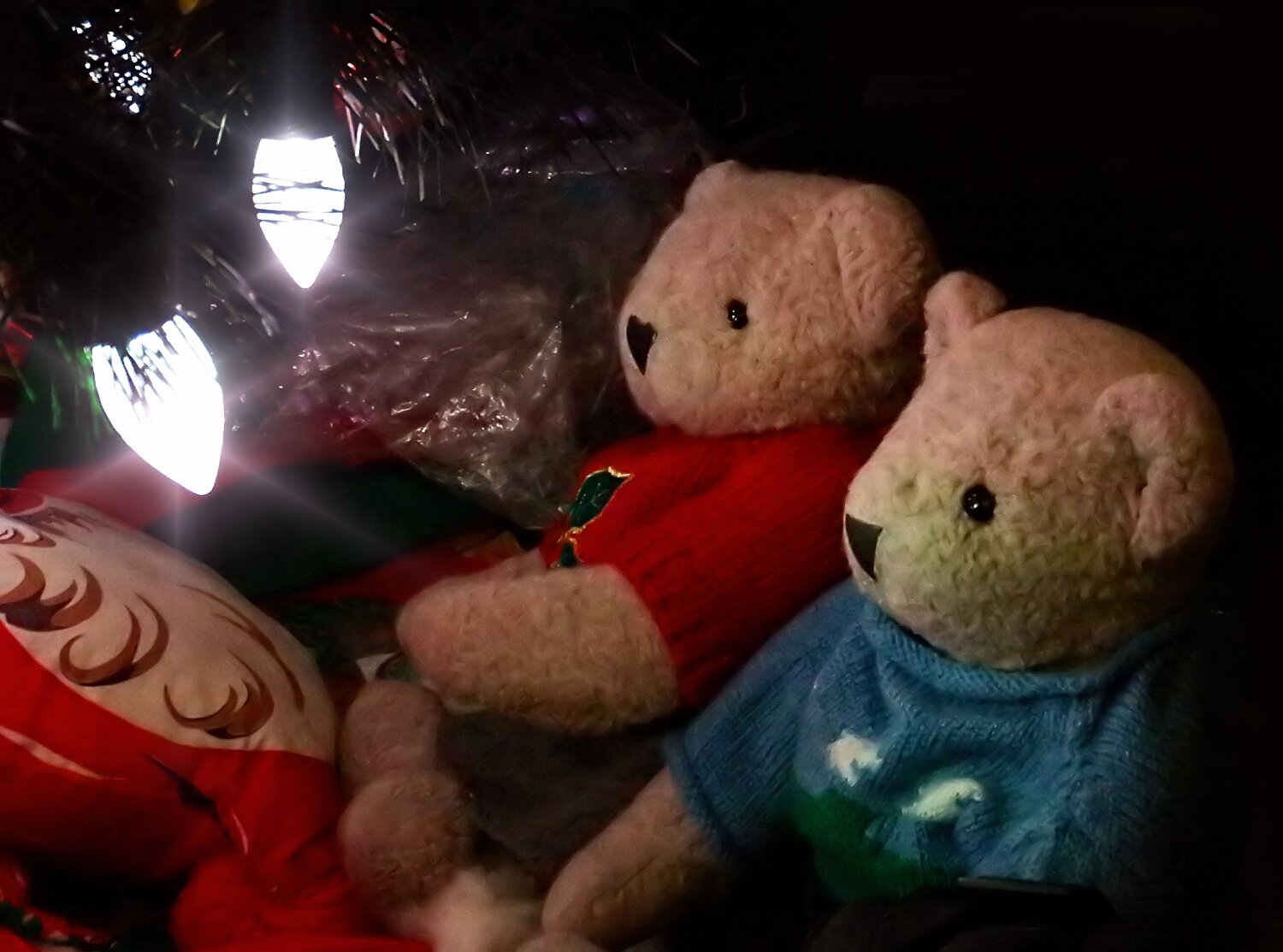 Looking at the tree lights