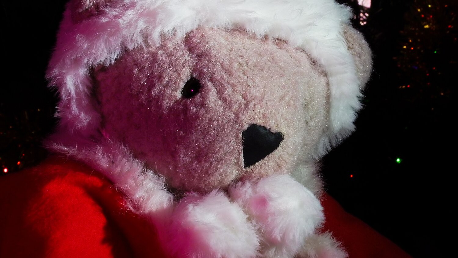 Mrs Santa Tilly-Bear