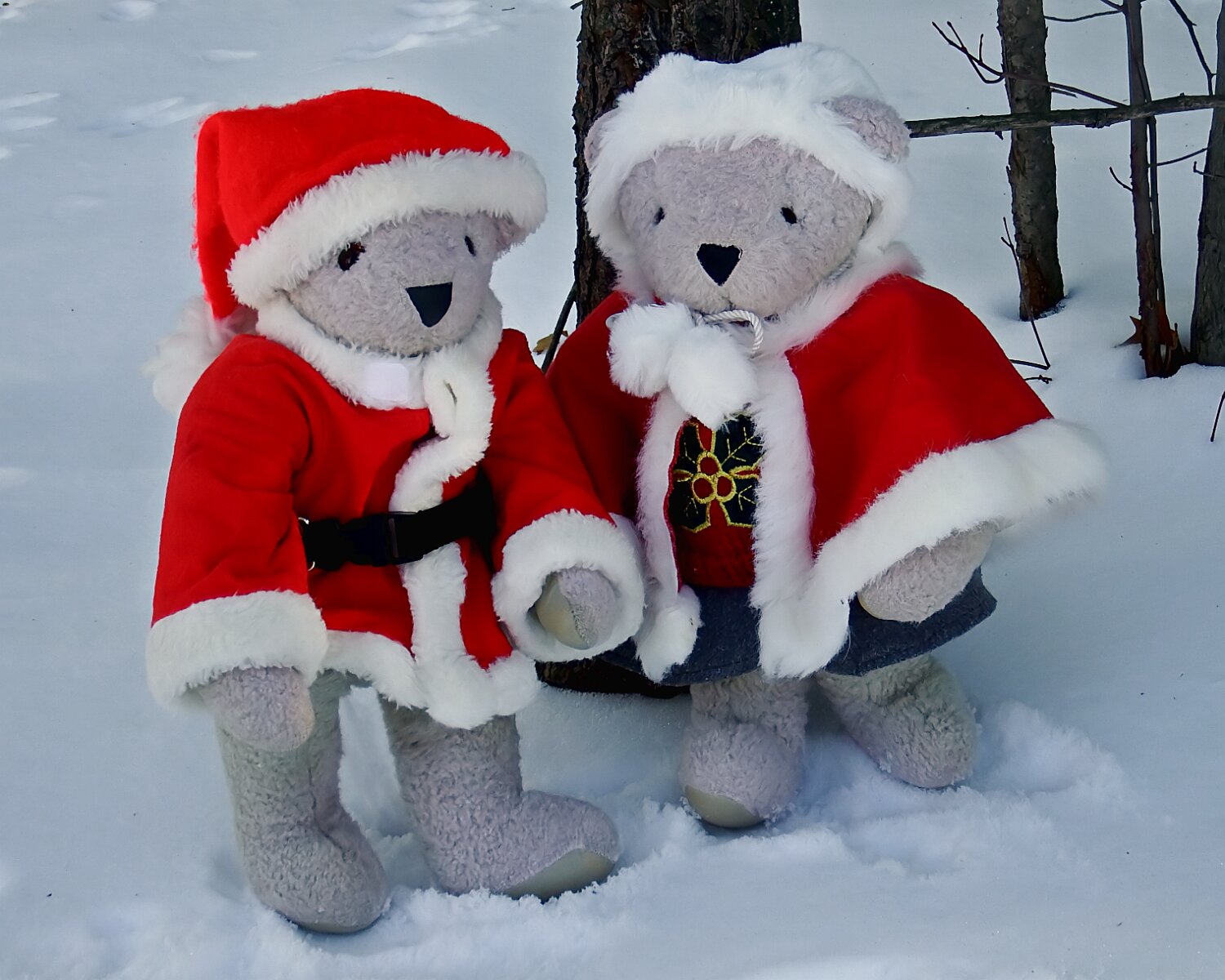 Santa Bears Outside