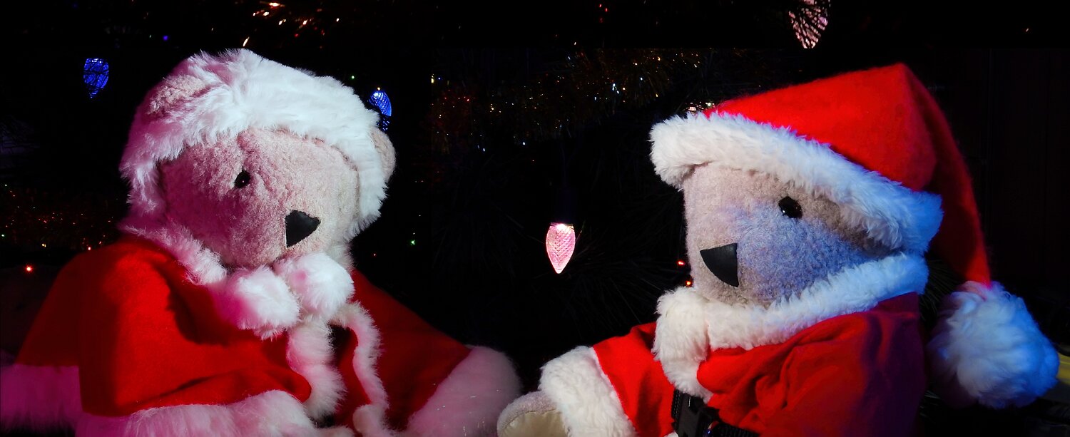 Santa Bears