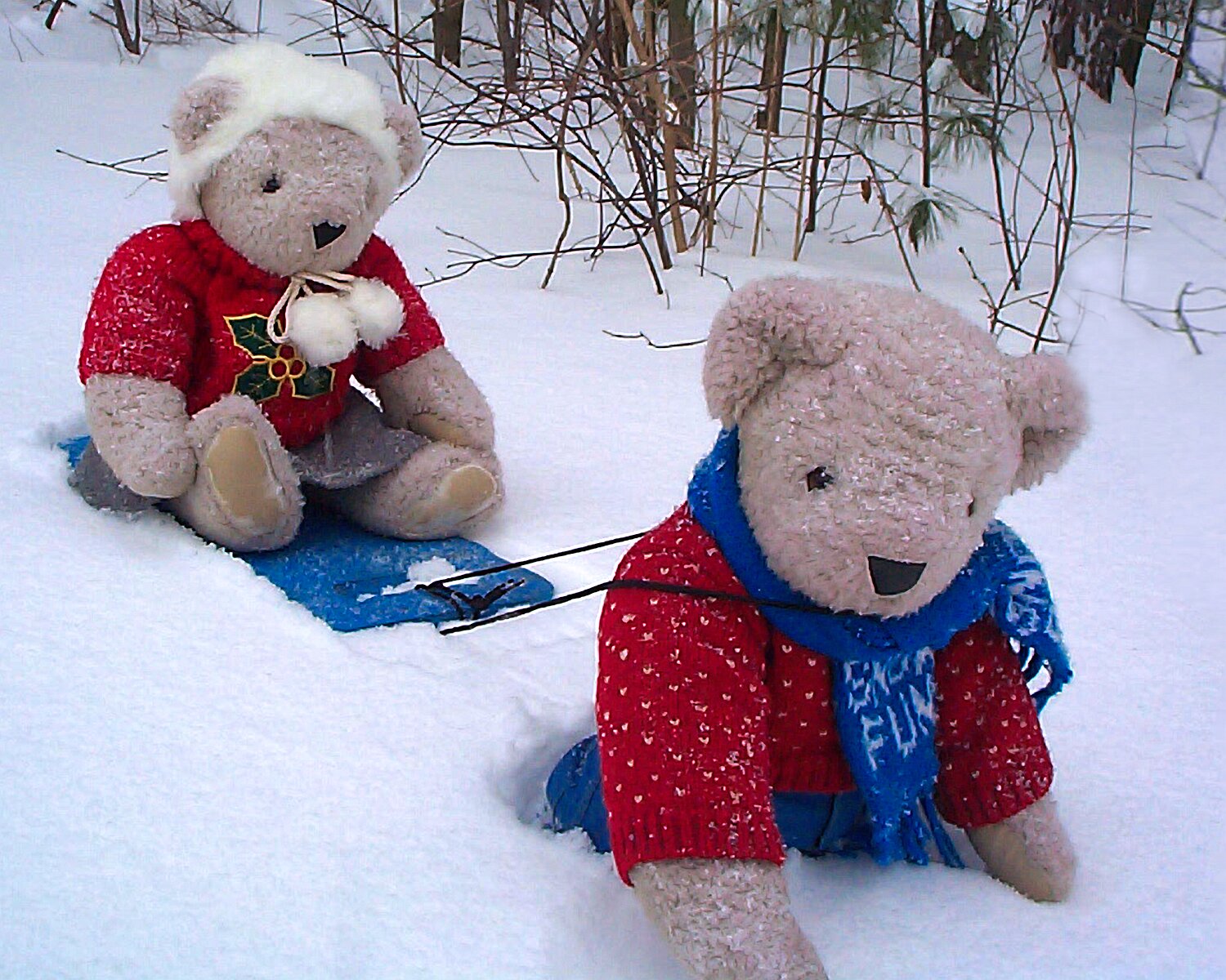 Sleighing in the Snow