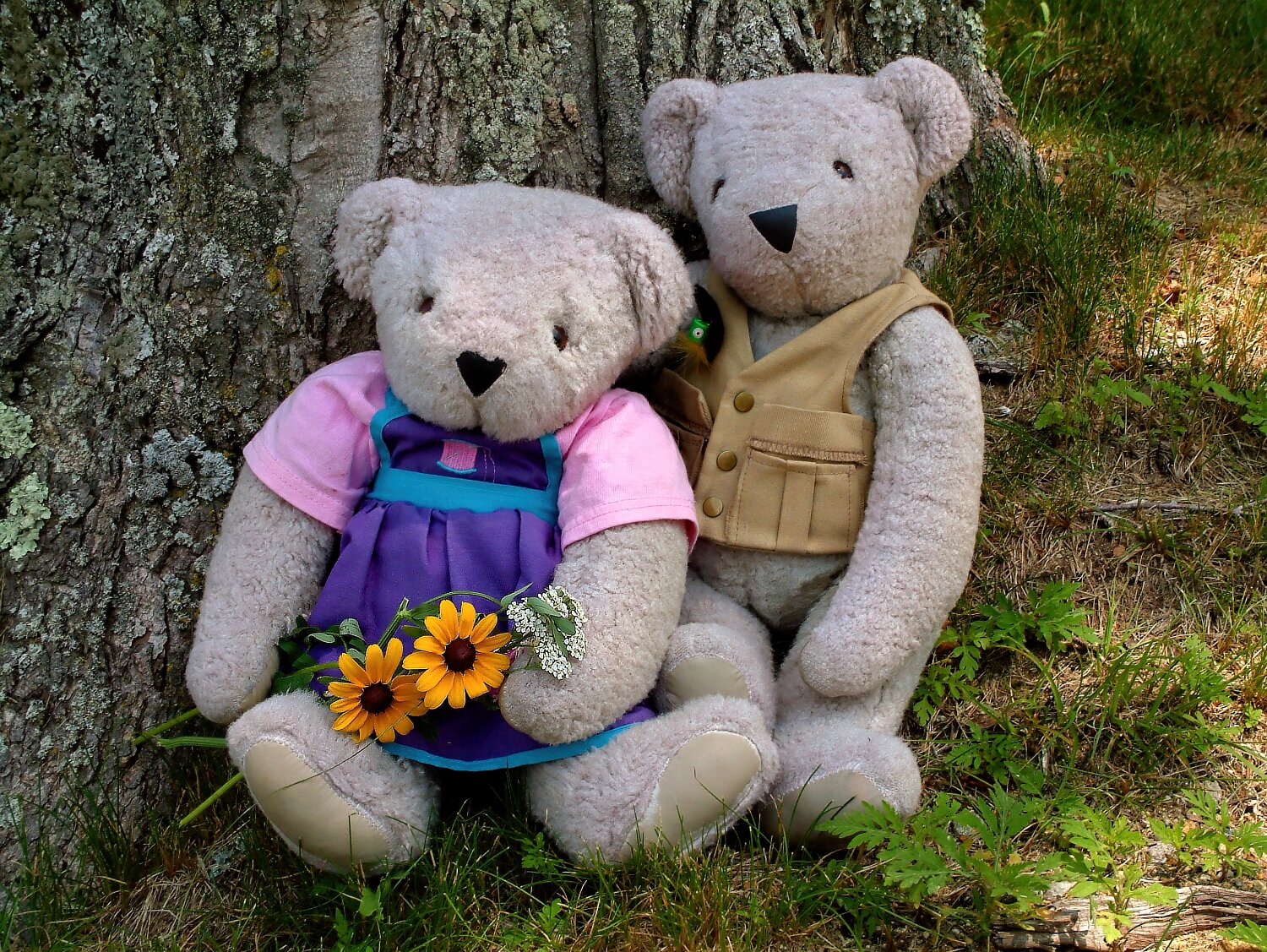 Summertime Bears