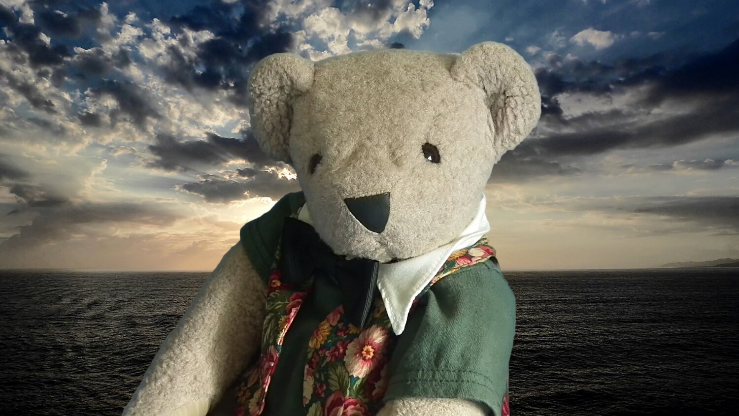 Theodore and the  Ocean