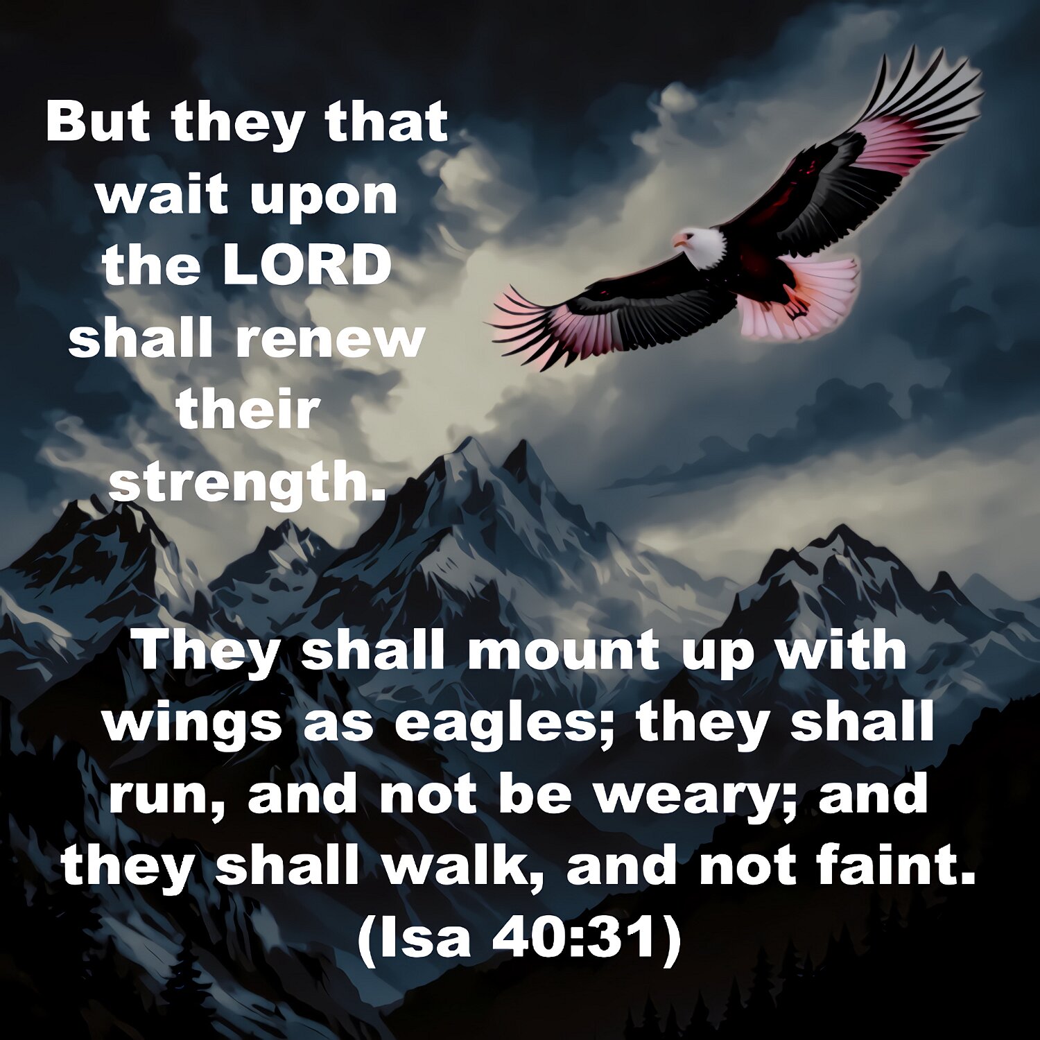 But those who trust in the LORD will receive new strength. They will fly as high as eagles. They will run and not get tired. They will walk and not grow weak.