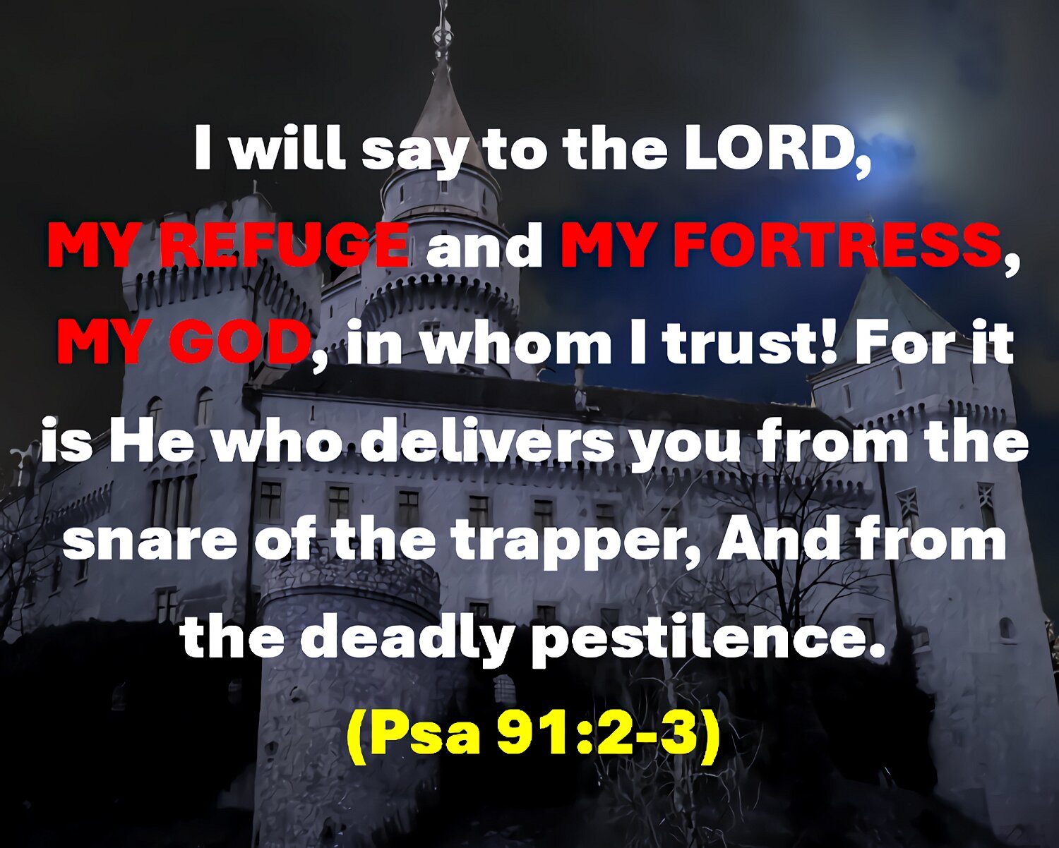 Then you will say to the LORD, You are my fortress, my place of safety. You are my God, and I trust you.