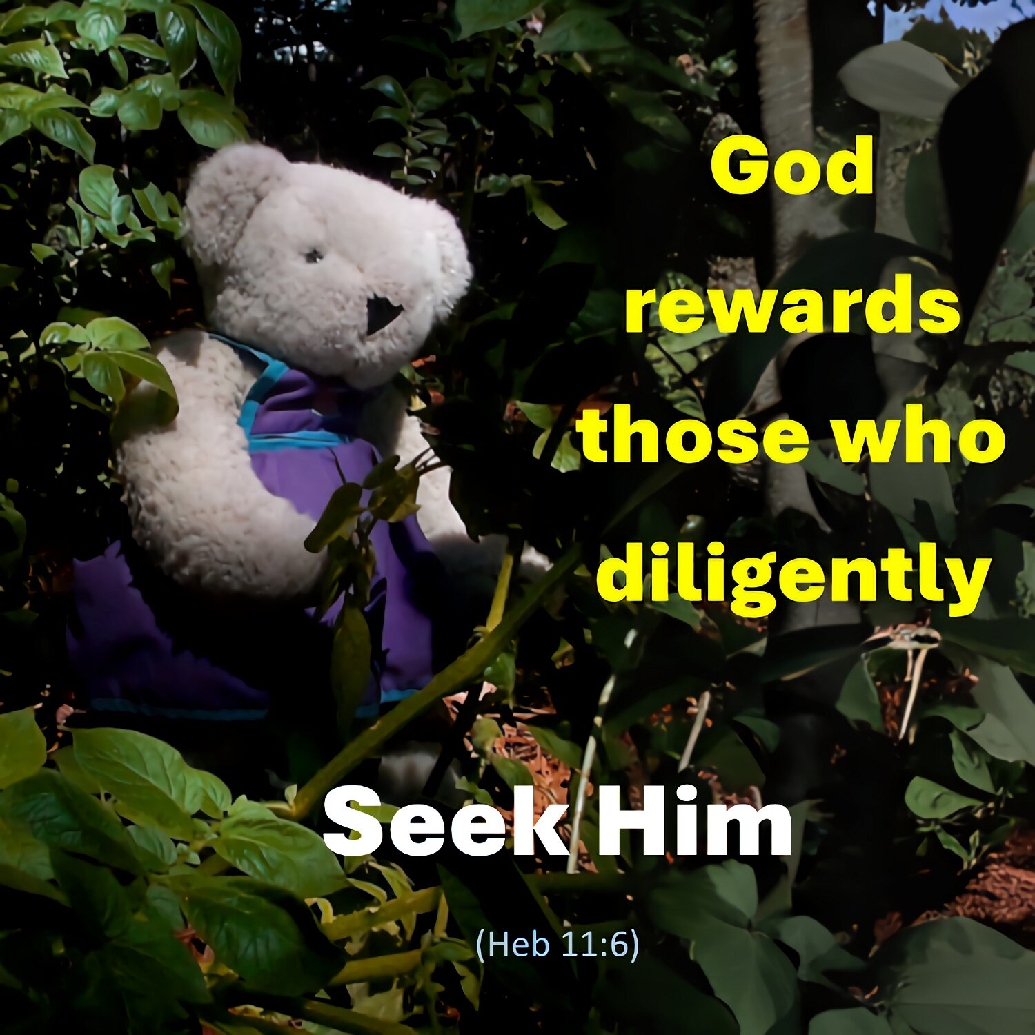 Without faith it isn't possible to please God. Those who come to God must believe that he exists and that he rewards those who look to him.
