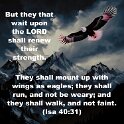But those who trust in the LORD will receive new strength. They will fly as high as eagles. They will run and not get tired. They will walk and not grow weak.