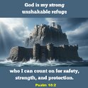 The LORD is my rock and my fort. He is the One who saves me. My God is my rock. I go to him for safety. He is like a shield to me.