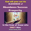 The LORD your God will bless your barns with plenty of grain and other food. He will bless everything you do. He'll bless you in the land he's giving you.