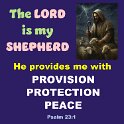 You, LORD, are my shepherd. I will never be in need.