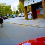 March For Jesus 1997 - 09